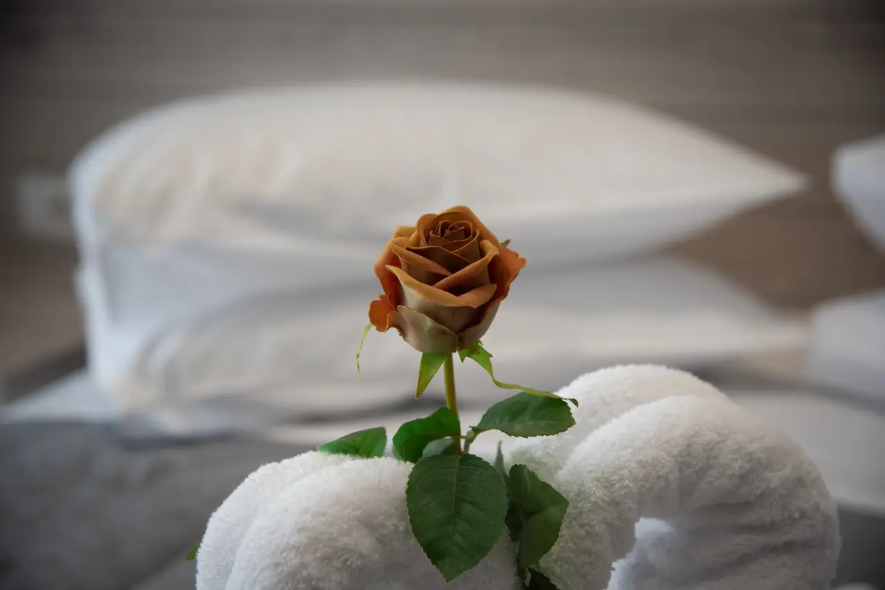 A rose on fresh towels
